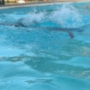 Meet your Posher, Terry